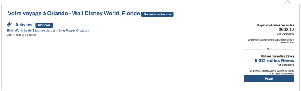 billet disney magic AM