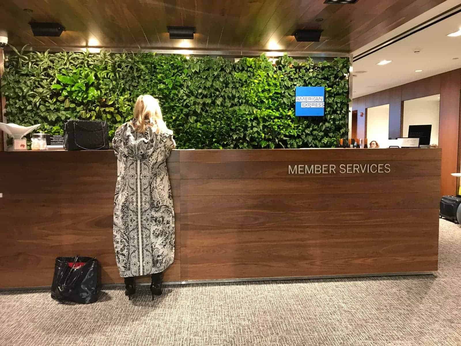 6ngkcatmreyva6qjzew3qa