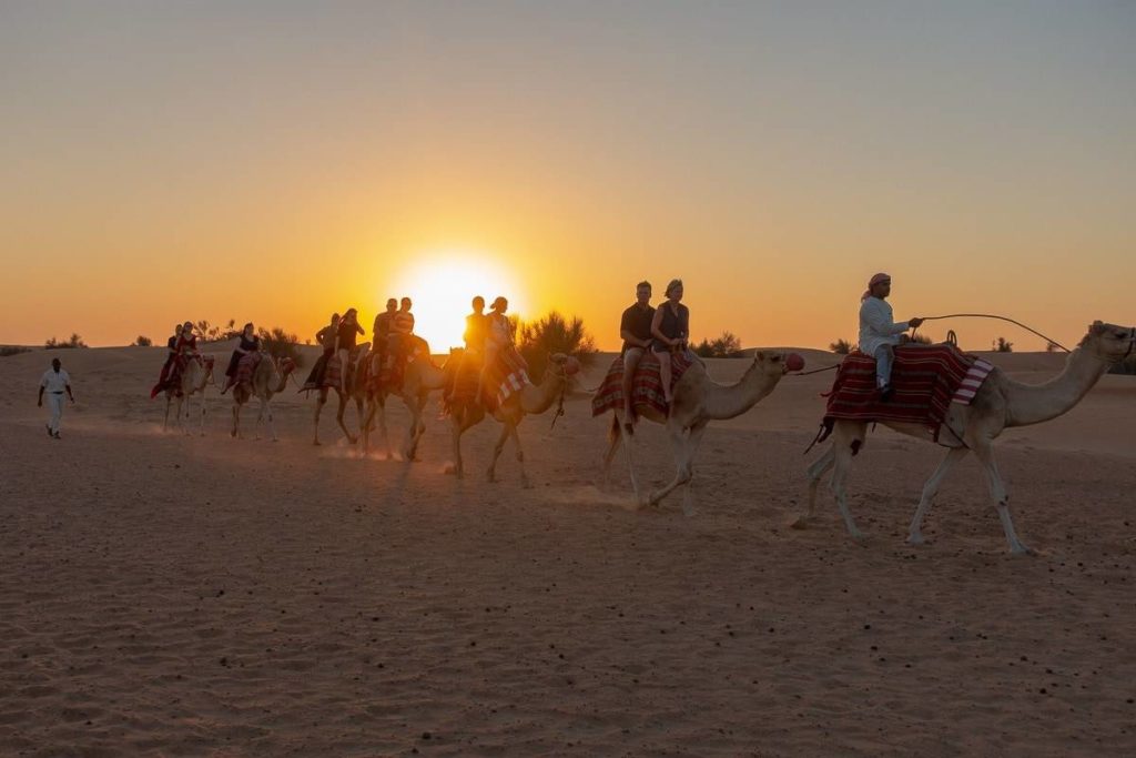 al maha activites chameau 04