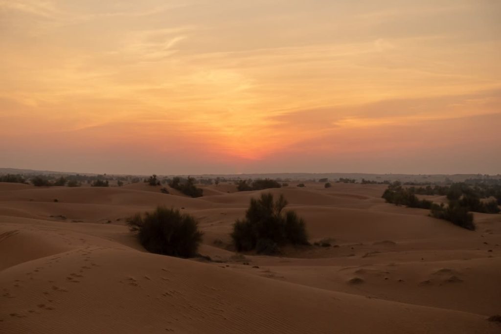 al maha activites coucher 07