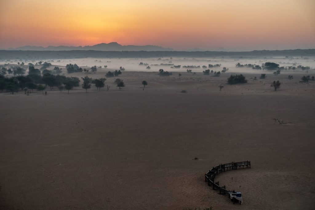 al maha activites oiseaux 01