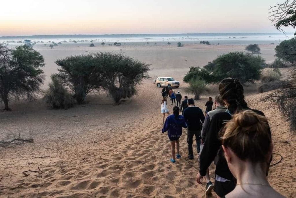 al maha activites oiseaux 02