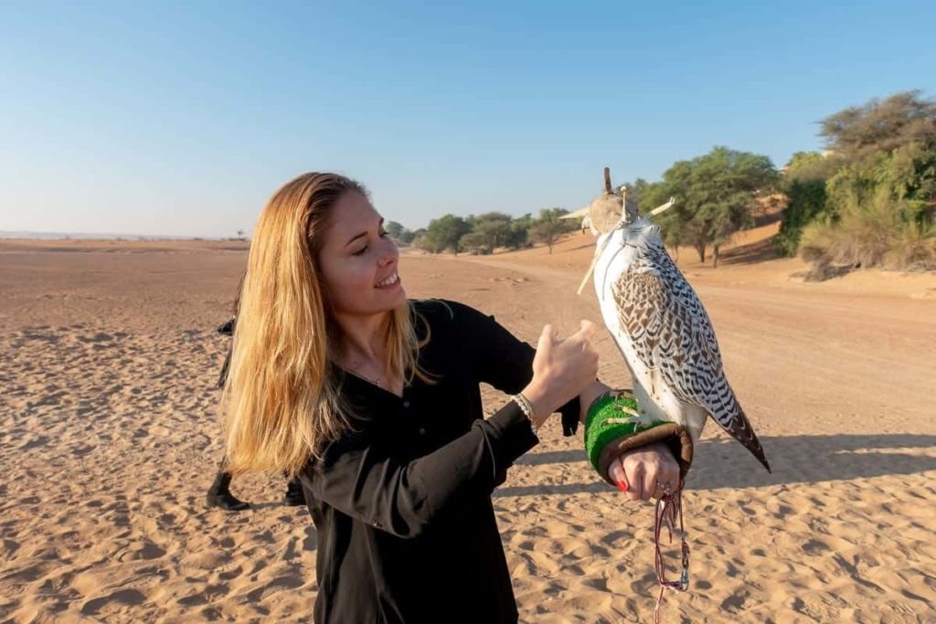 al maha activites oiseaux 24