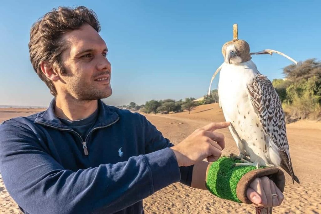 al maha activites oiseaux 28