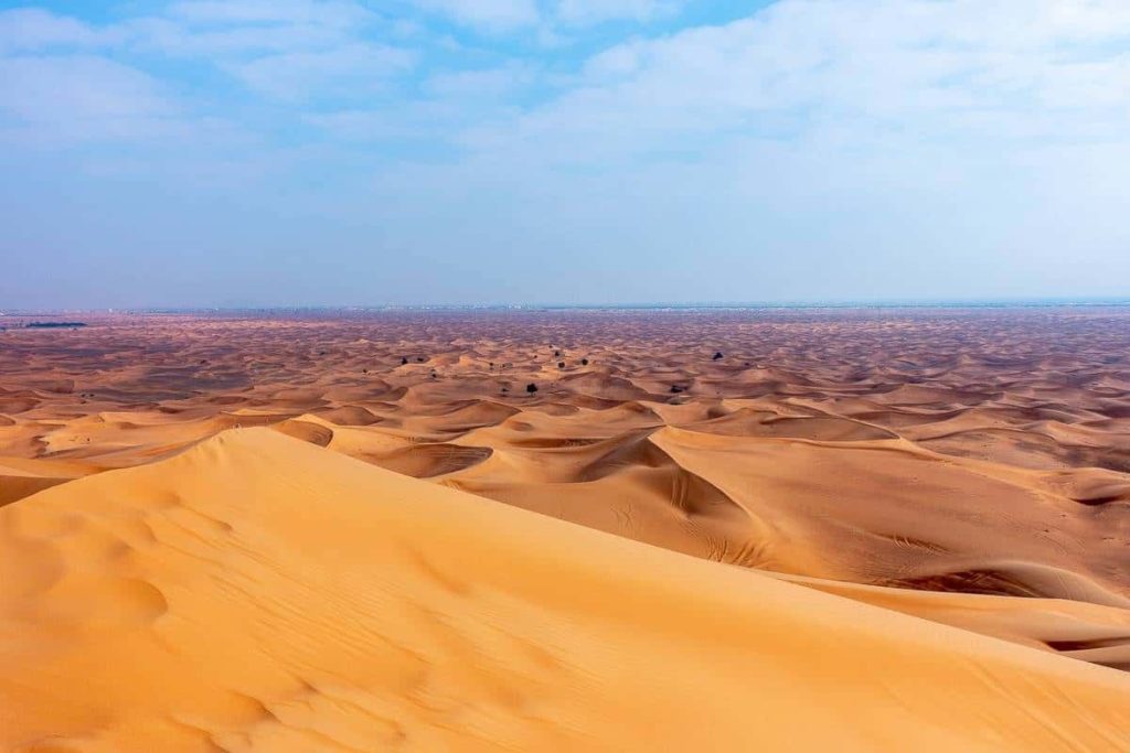 al maha activites voiture 04