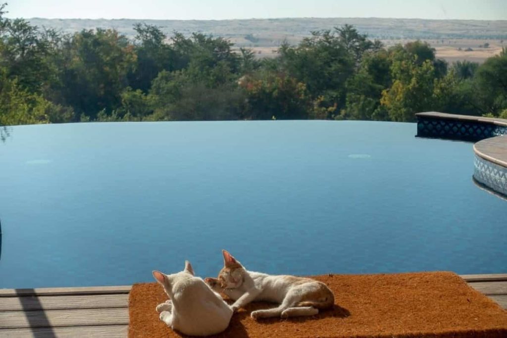 al maha bedouin suite 25