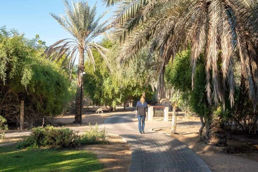 al maha spa exterieur 05