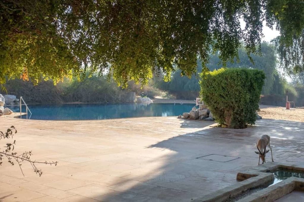 al maha spa exterieur 06