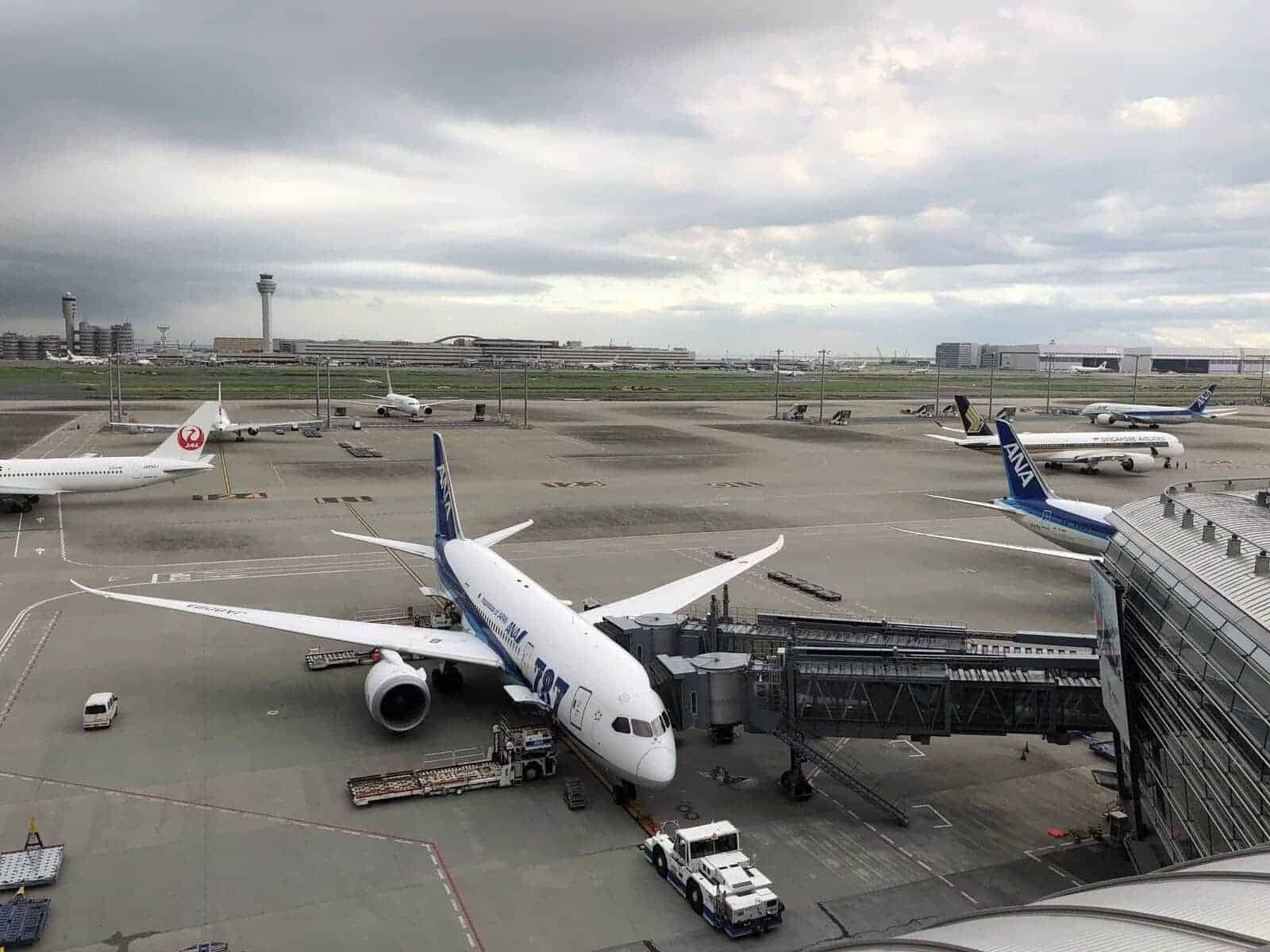 dwovafgwrcalfx0e8sfulg