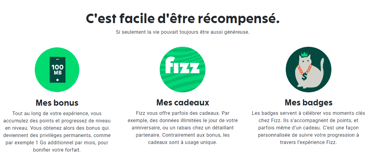 fizz rewards program 3