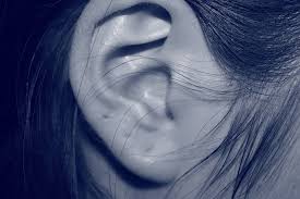 oreille