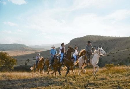 texas texastourism texas 1