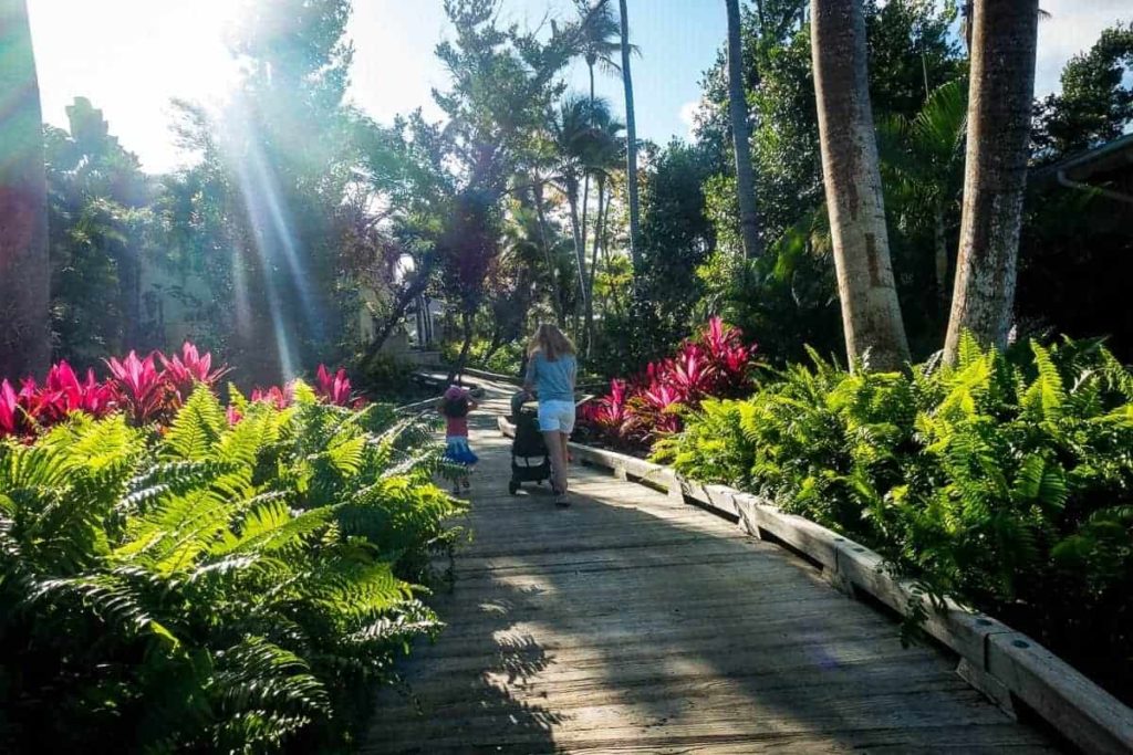 the st regis bahia beach resort puerto rico 195