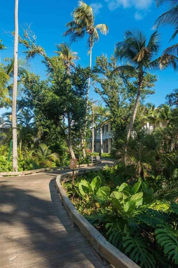 the st regis bahia beach resort puerto rico 196