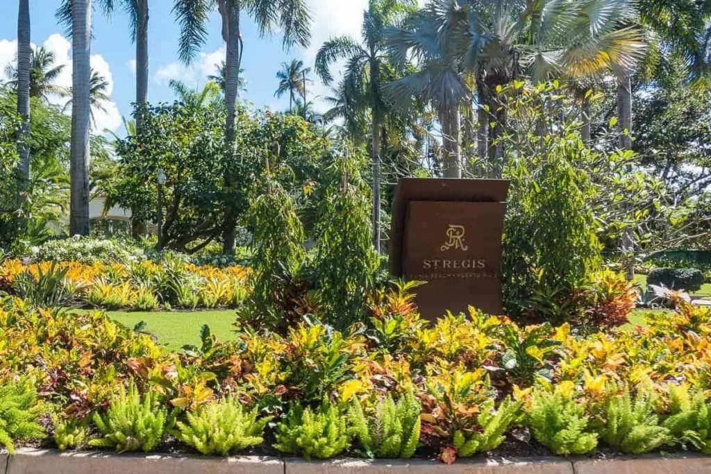 the st regis bahia beach resort puerto rico 249