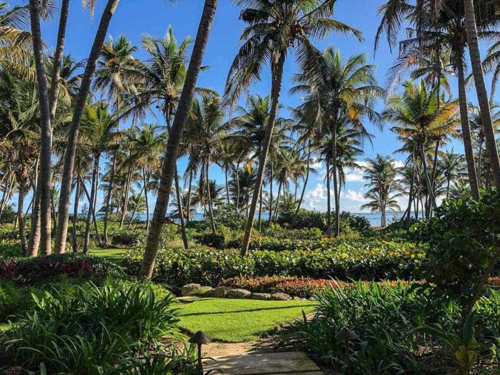 the st regis bahia beach resort puerto rico 253