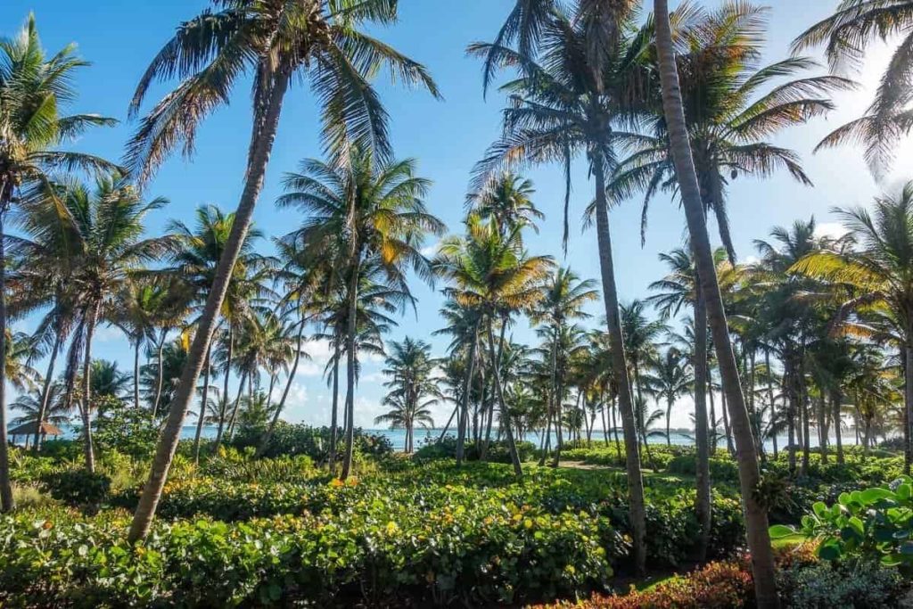 the st regis bahia beach resort puerto rico 84