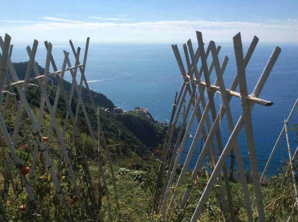 corniglia croisillons