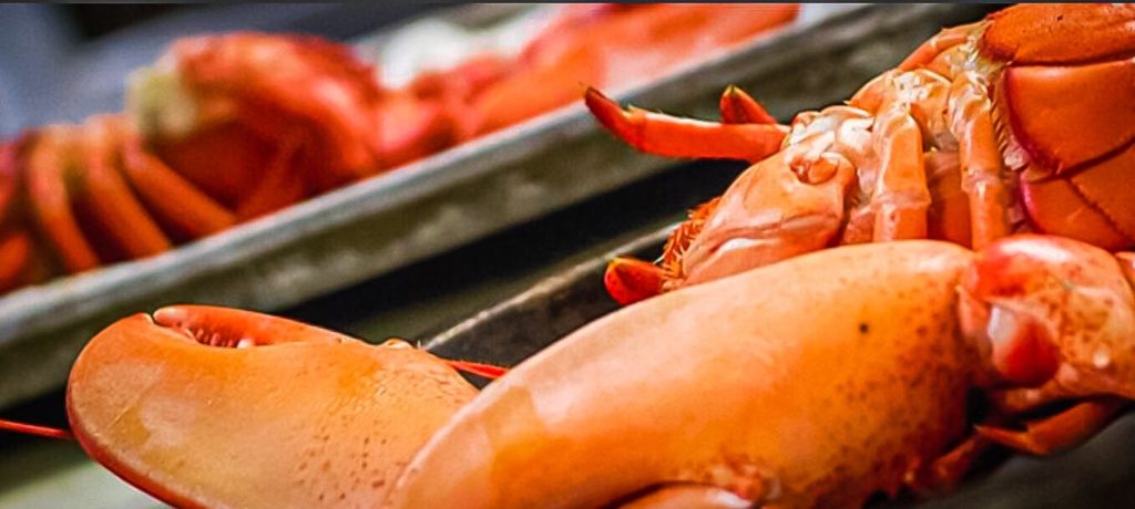 residence inn portland maine 07