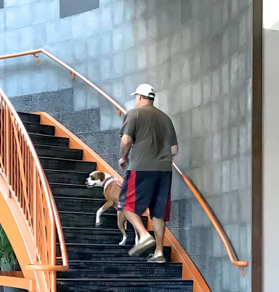 residence inn portland maine 14