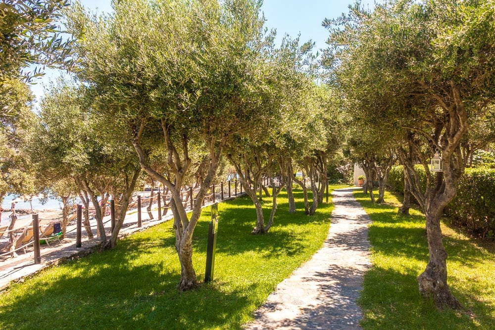 Domes of Elounda Autograph Collection 42