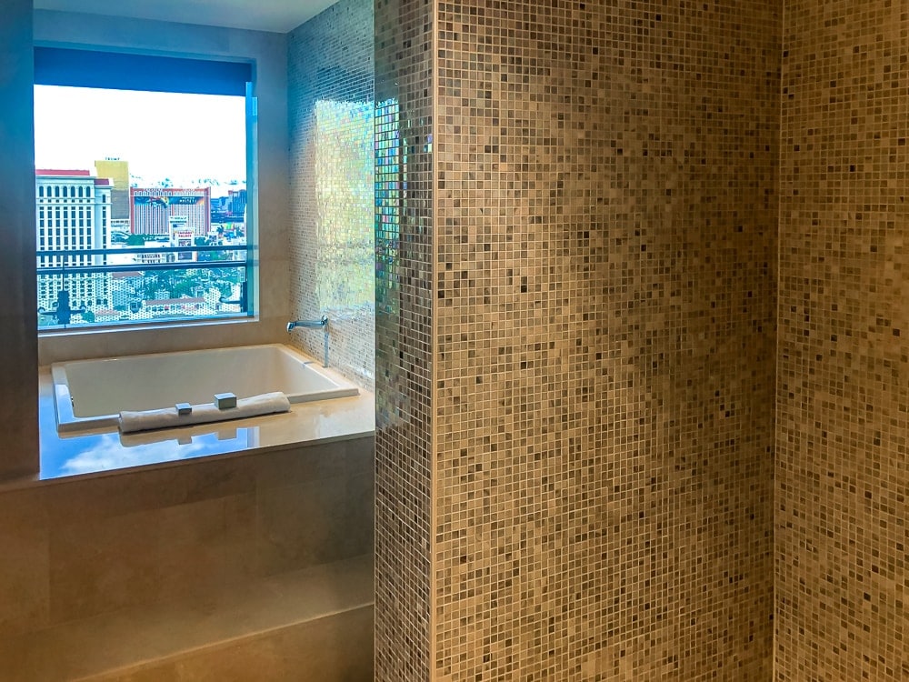 Marriott Bonvoy Cosmopolitan of Las Vegas Autograph Collection 13