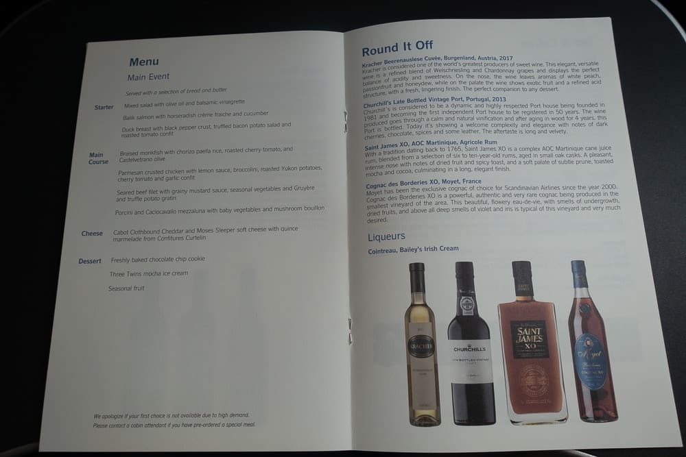 SAS A330 Business Class BOS CPH 41