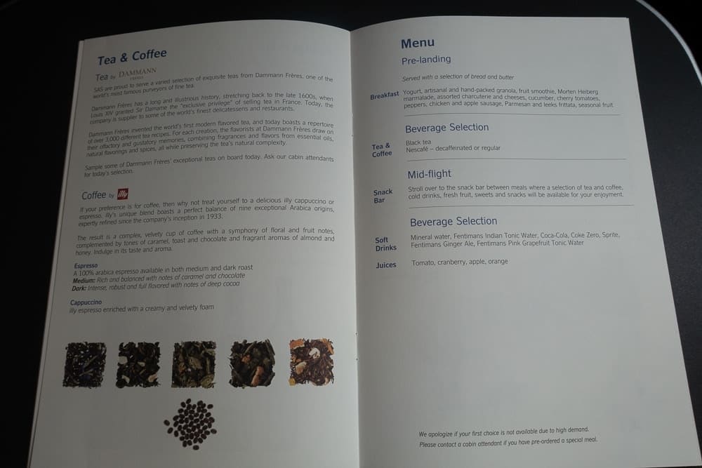 SAS A330 Business Class BOS CPH 42