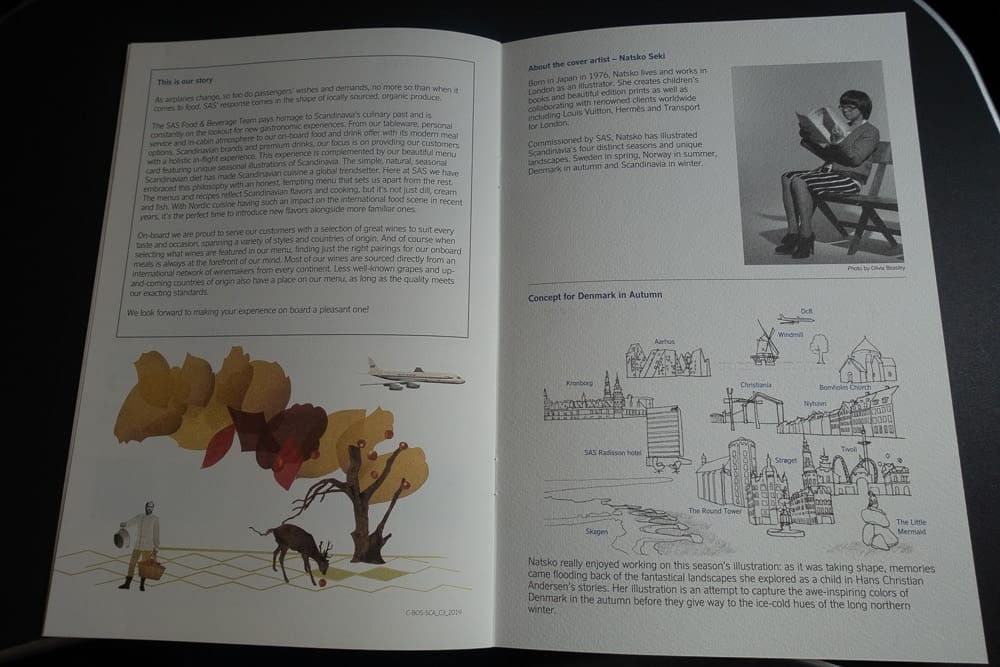 SAS A330 Business Class BOS CPH 43