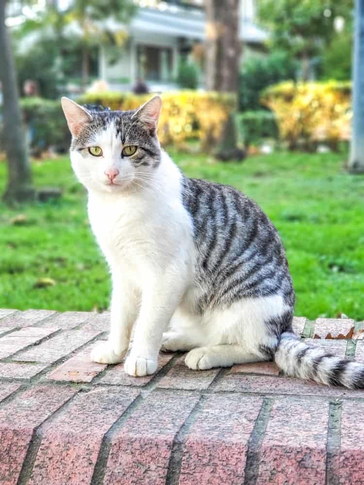 Avis Sur L’hôtel Ac Hotel Istanbul Macka Par André