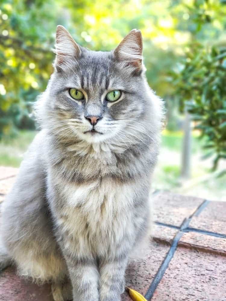 Avis Sur L’hôtel Ac Hotel Istanbul Macka Par André