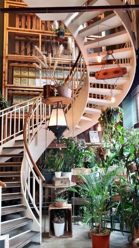 House of Small Wonders