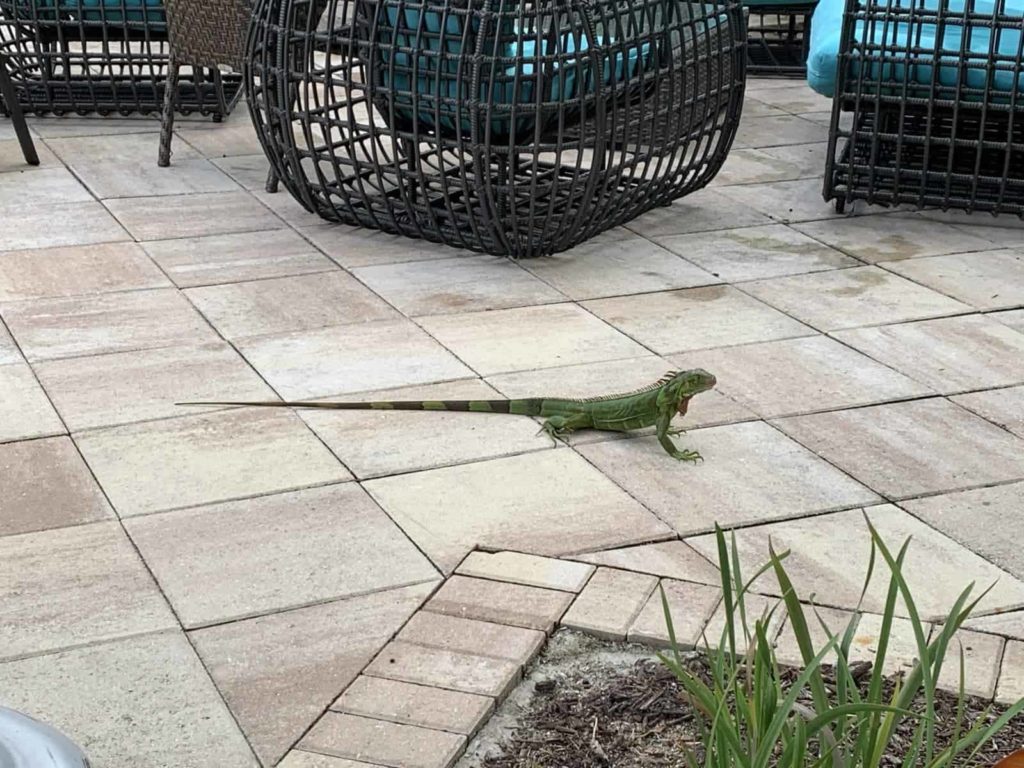 Fairfield Inn & Suites by Marriott Key West at The Keys Collection