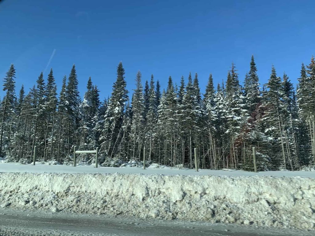 Courtyard by Marriott Key Largo