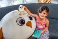 Semaine Bali Element