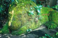 Semaine Bali Foret Singes