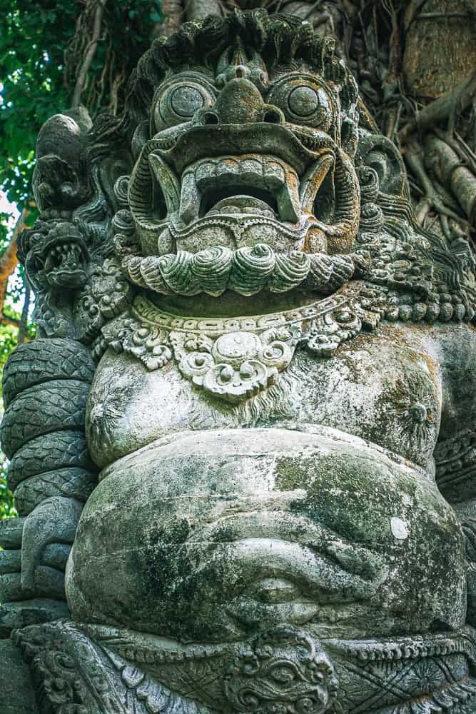 Semaine Bali Foret Singes