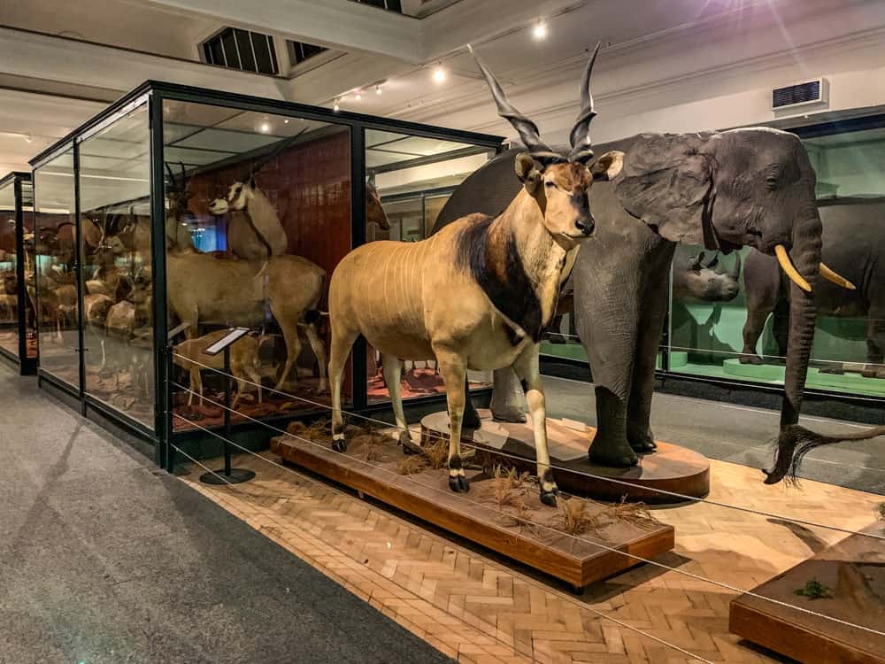 Semaine Mtm Capt Iziko