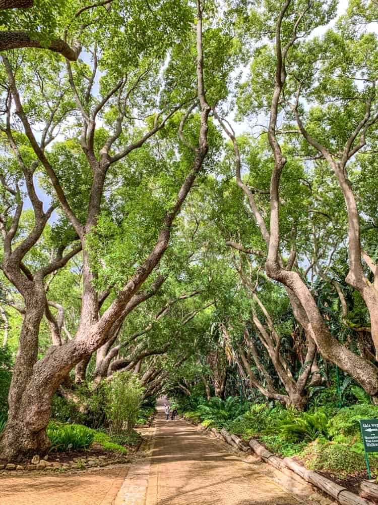 Semaine Mtm Capt Jardin Botanique Allée