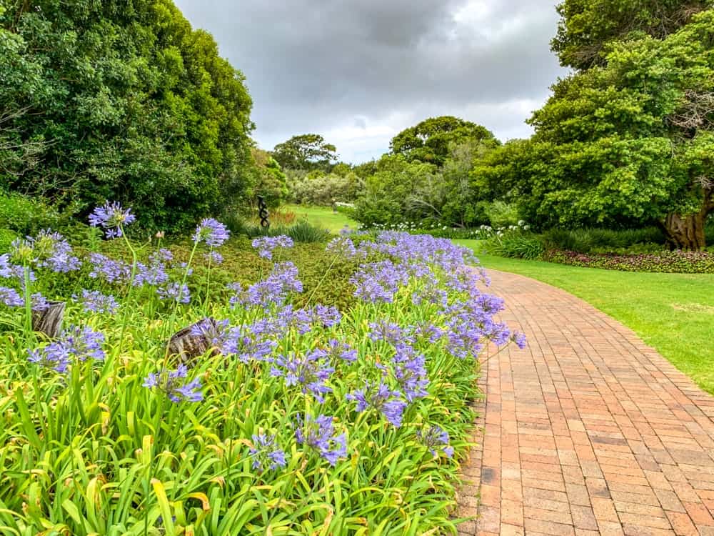 Semaine Mtm Capt Jardin Botanique