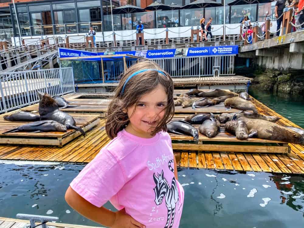 Semaine Mtm Capt Sea Lions