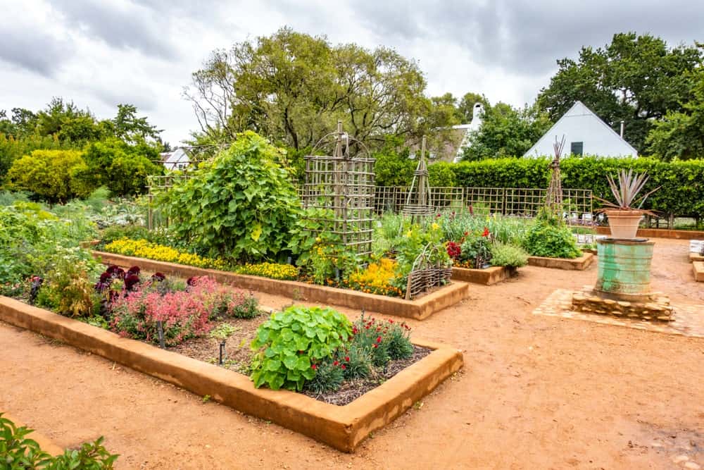 Semaine Mtm Route Vignoble Babylon