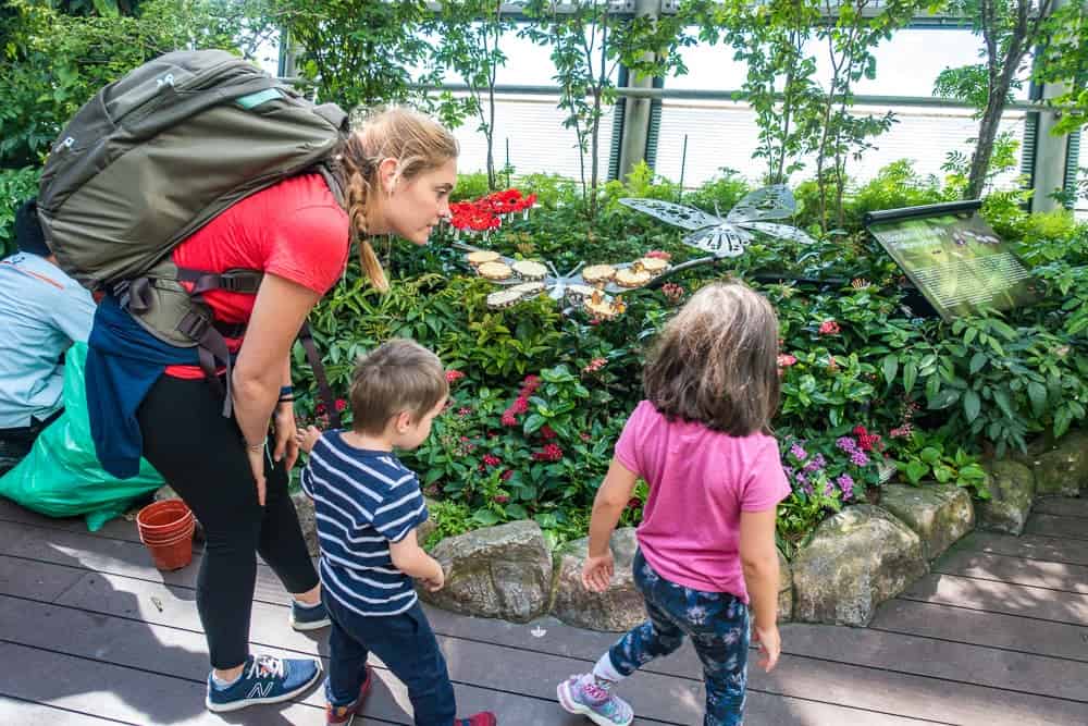 Semaine Singapour Airport