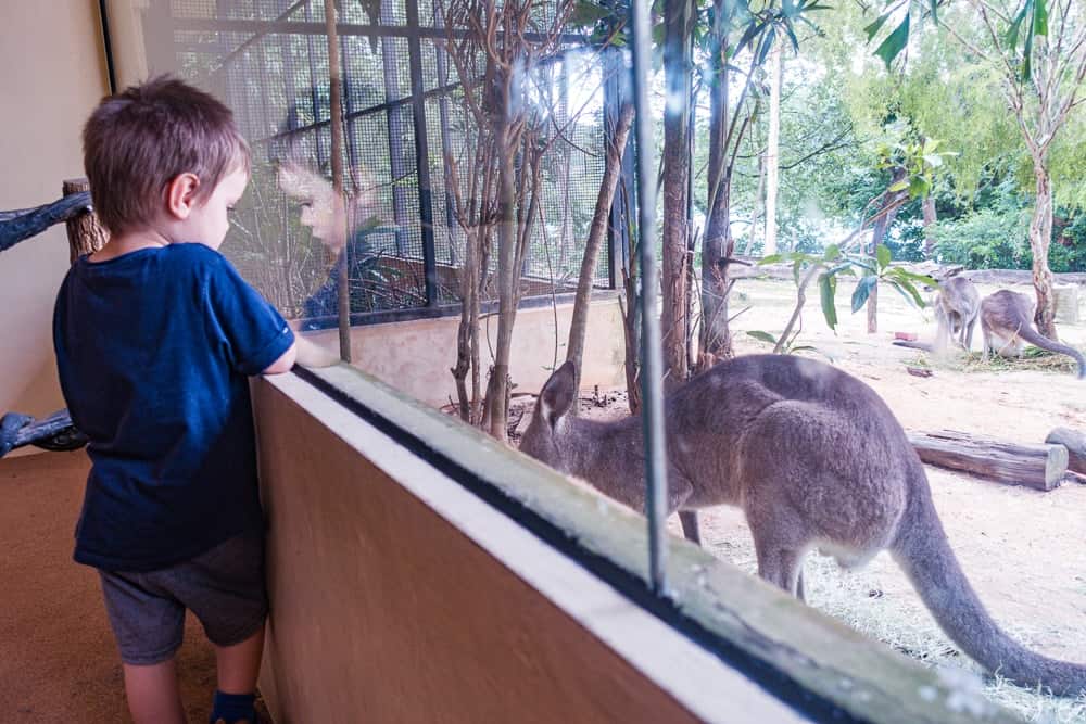 Semaine Singapour Zoo