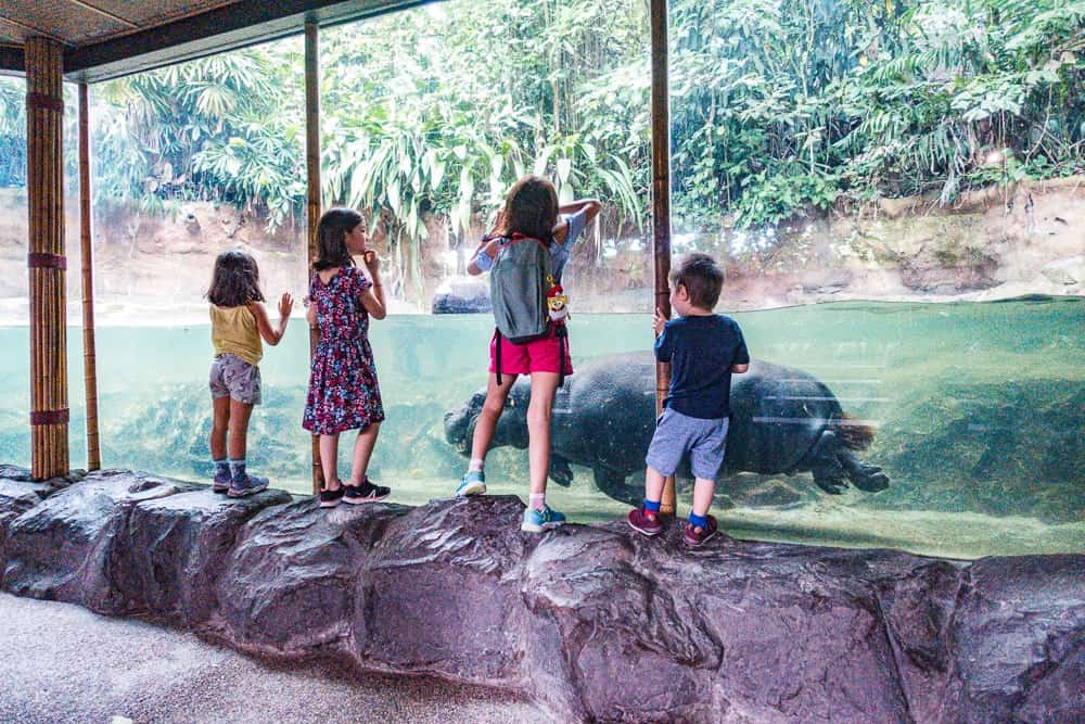 Semaine Singapour Zoo