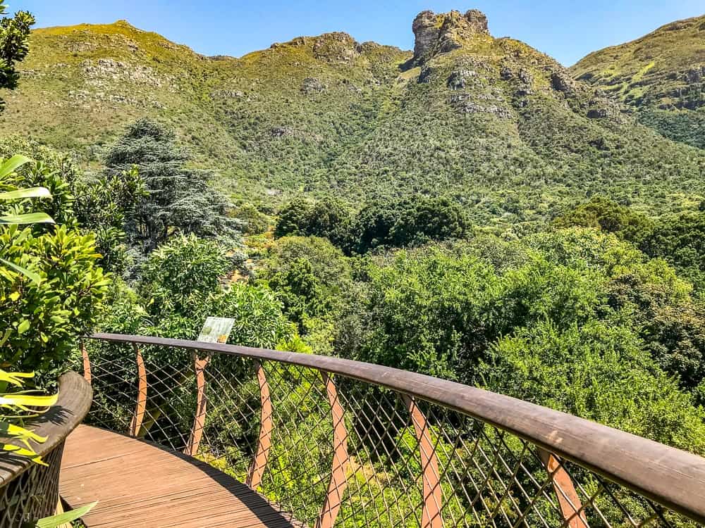 Afrique Du Sud Brigitte 04