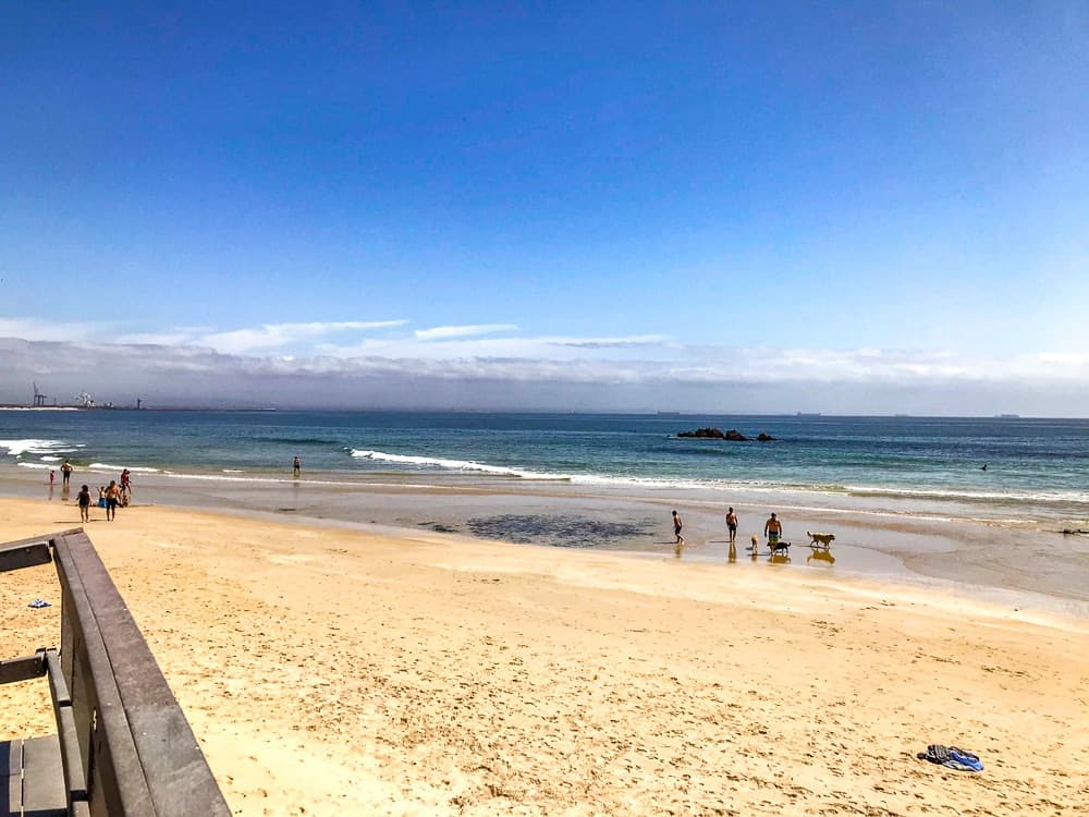 Afrique Du Sud Brigitte Autres 2