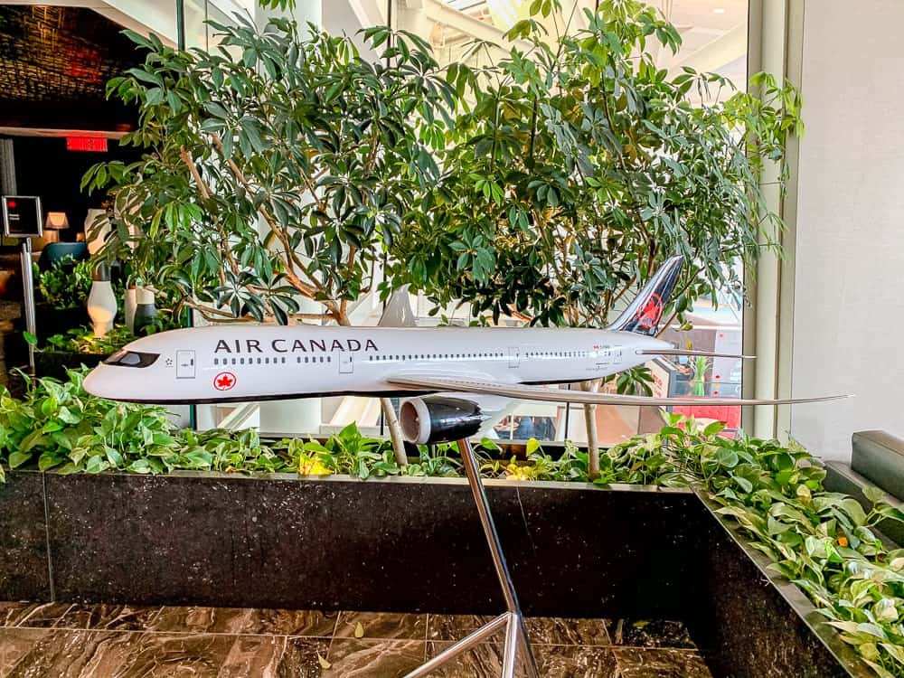 Air Canada Sao Paulo 1