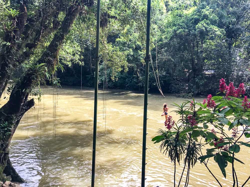 Saut De La Balançoire jungle