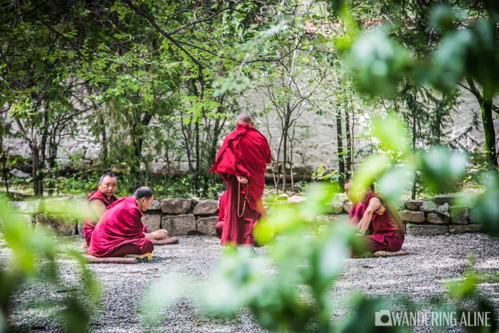 Tibet - Enseignement De Moines